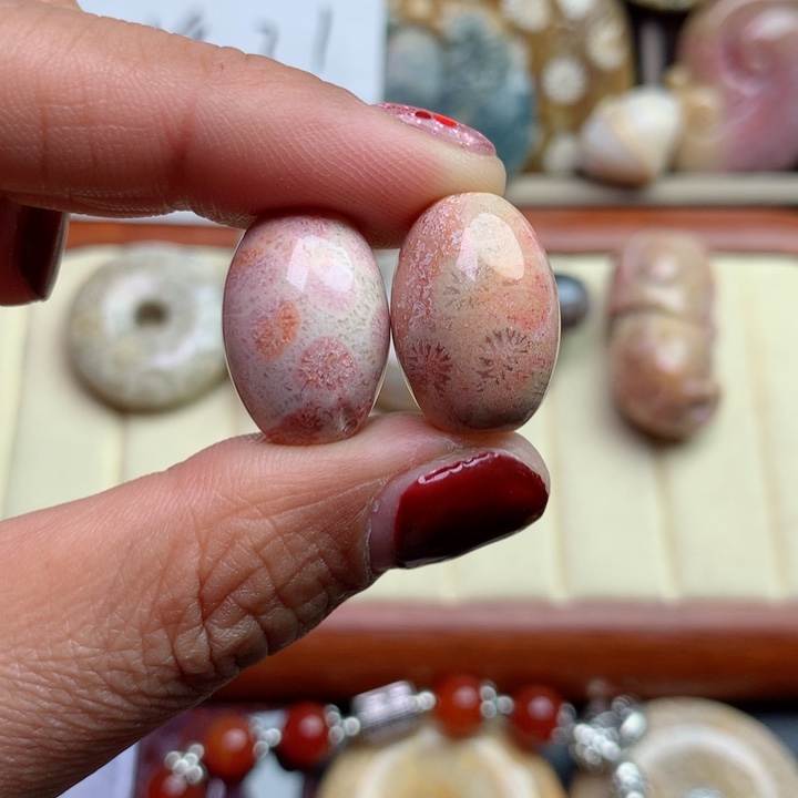 硅化珊瑚（珊瑚玉）颈饰未镶嵌