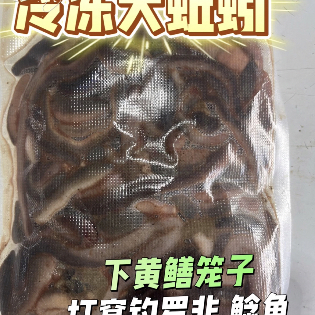 冷冻大蚯蚓、下黄鳝笼。打窝钓鲶鱼、罗非、鲳鱼、黄腊丁、叉尾、牛尾巴