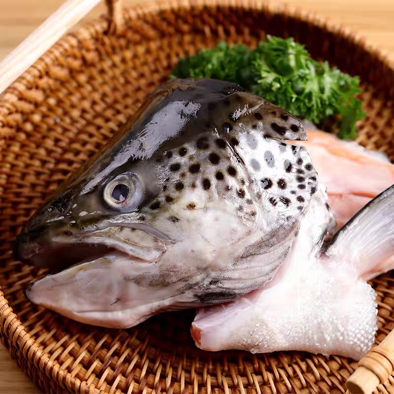 挪威新鲜三文鱼去鳃鱼头3只装