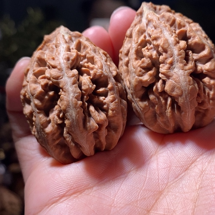 把件文玩核桃东北楸子小路 256