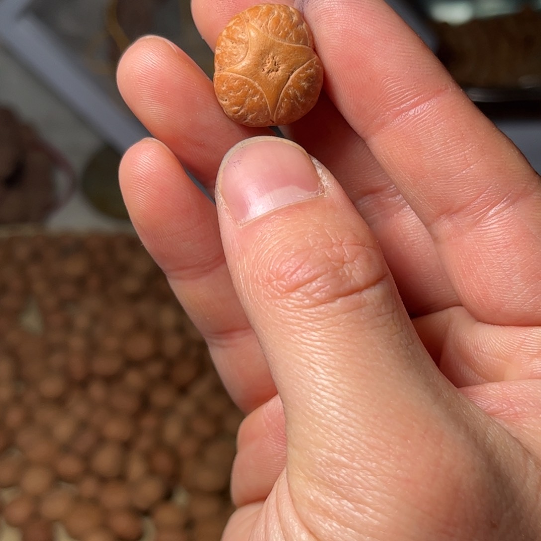 桃核吊坠二***n19.4mm麒麟眼，开孔不退，偏远不包