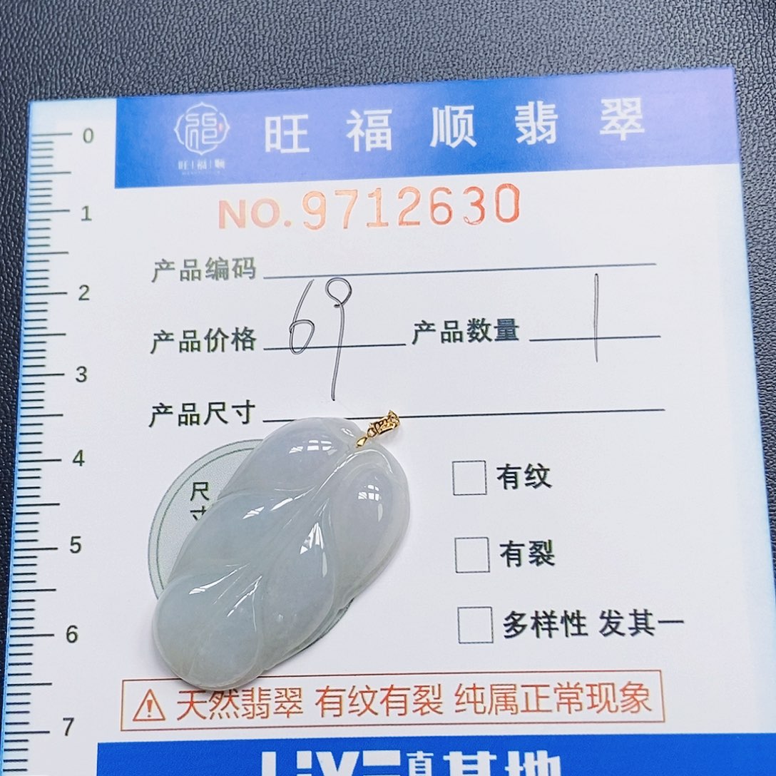 翡翠未镶嵌颈饰冰叶子