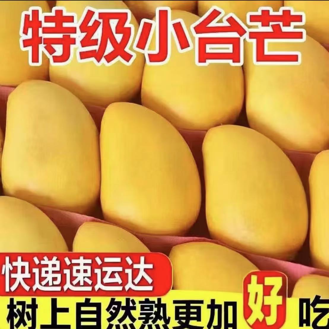 大台到手约6斤】当季新鲜老树果小台芒升级大果皮薄肉厚爆甜水果