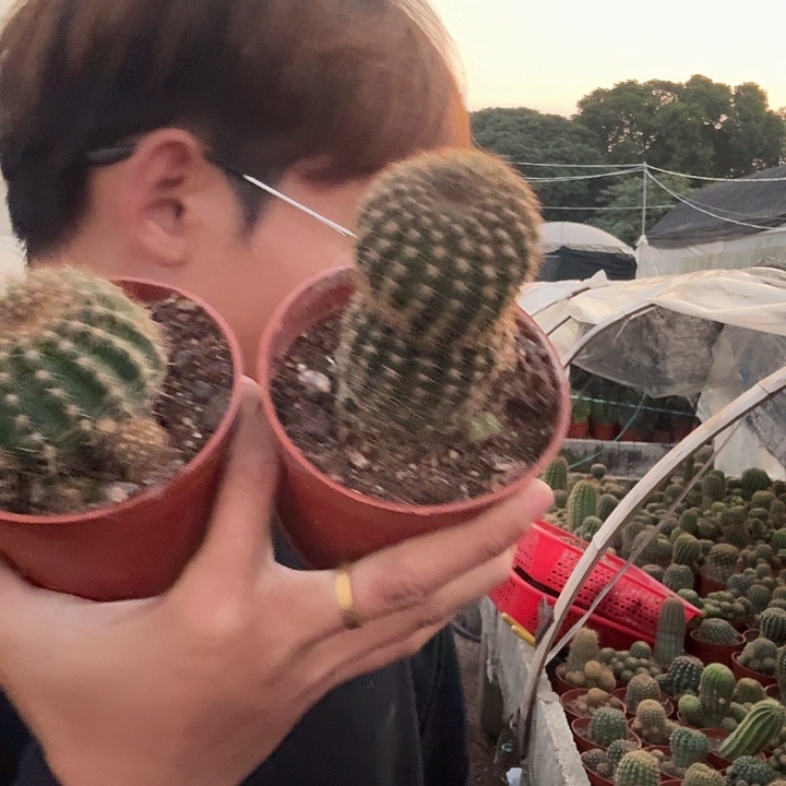 平***福无花朵丽花哈哈哈哈哈哈哈哈