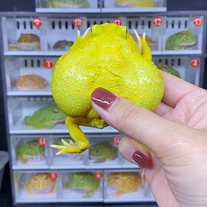 特价秒杀现货供应