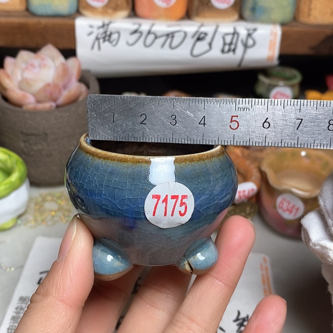 红陶拍5送一个小