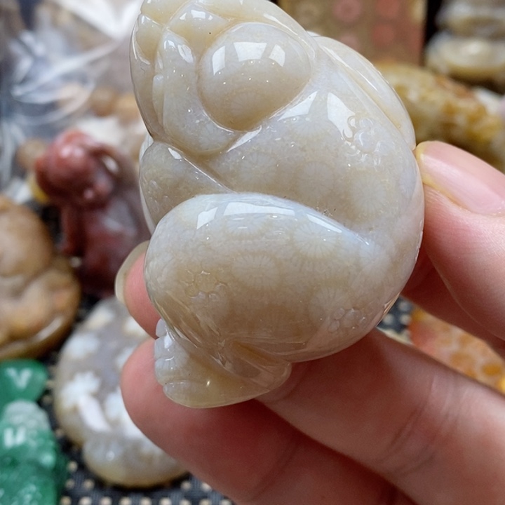 硅化珊瑚（珊瑚玉）颈饰未镶嵌