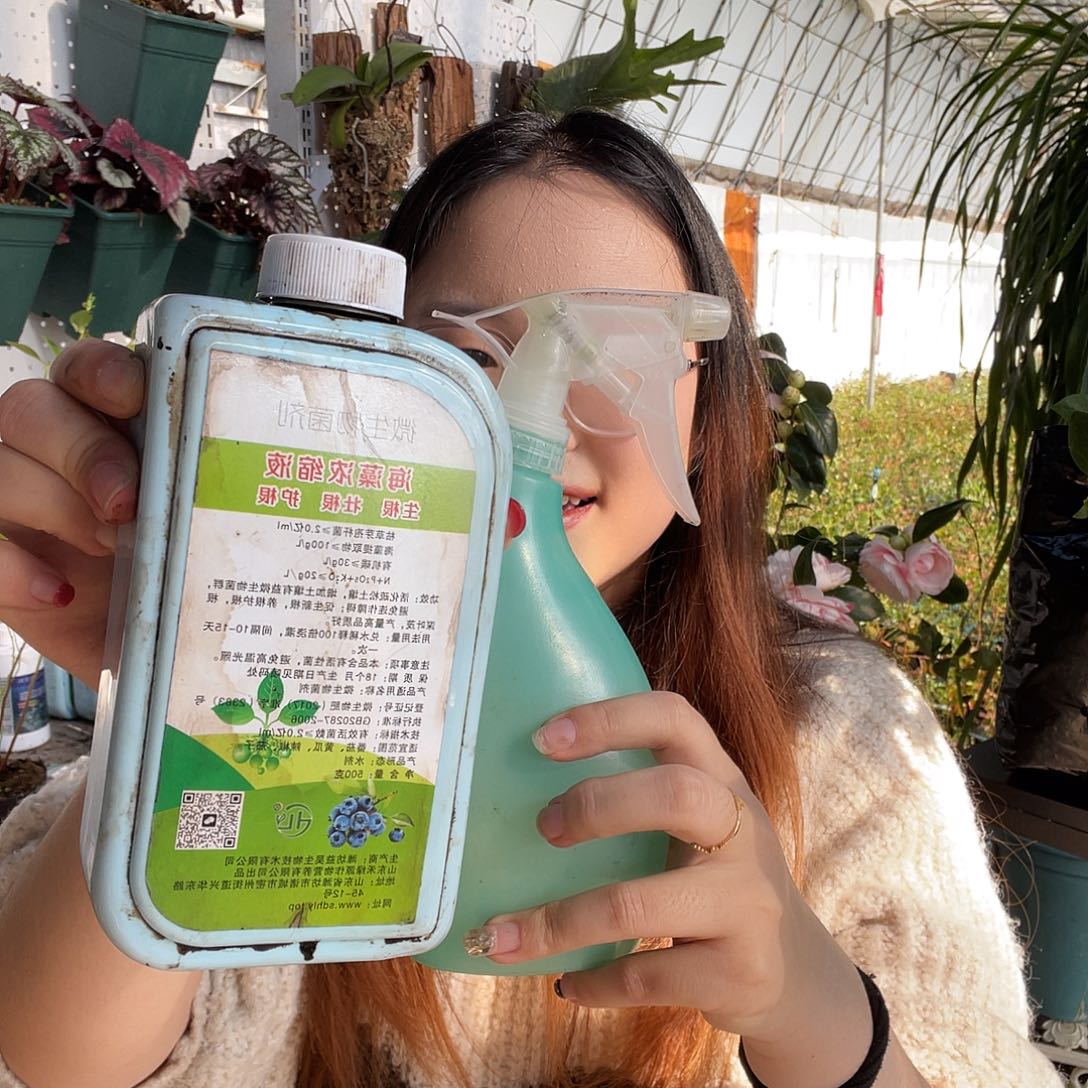 四瓶海藻精➕一喷壶