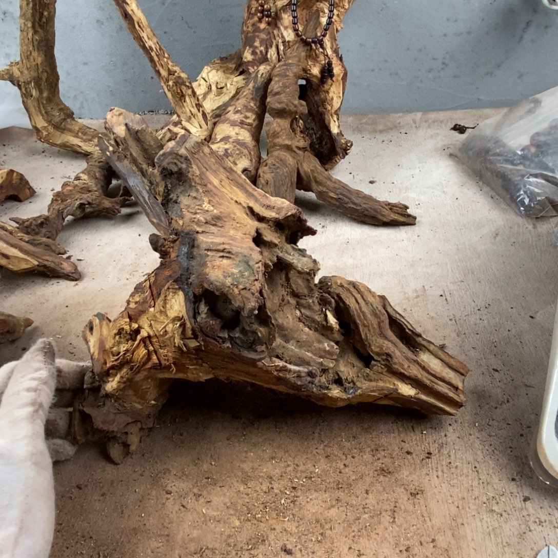 鱼***龍黄花梨/降香黄檀降香黄檀黄花梨