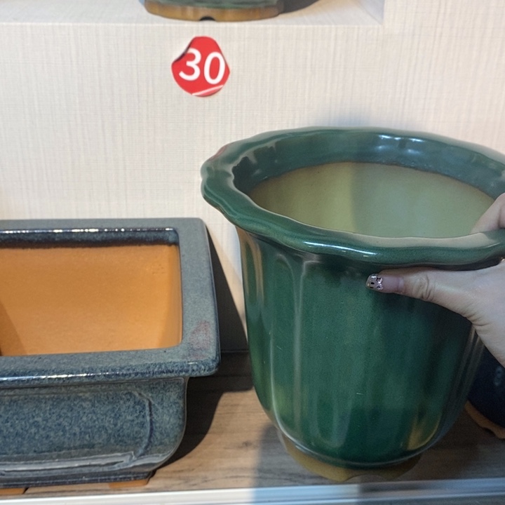 紫砂花盆闲**看福利来啦