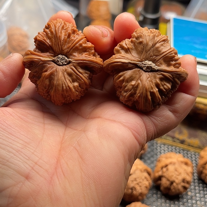 ****懂把件桃核特价核桃