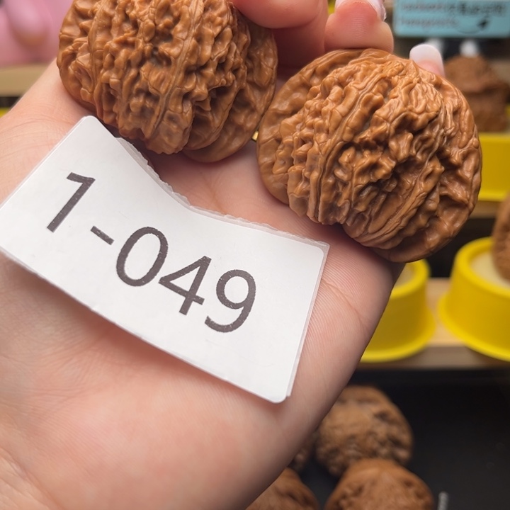 文玩核桃把件49楼子1049