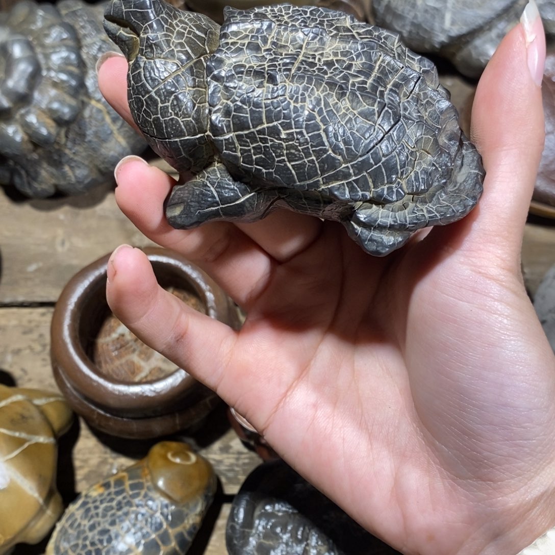 石材湖南郴州天然龟纹石