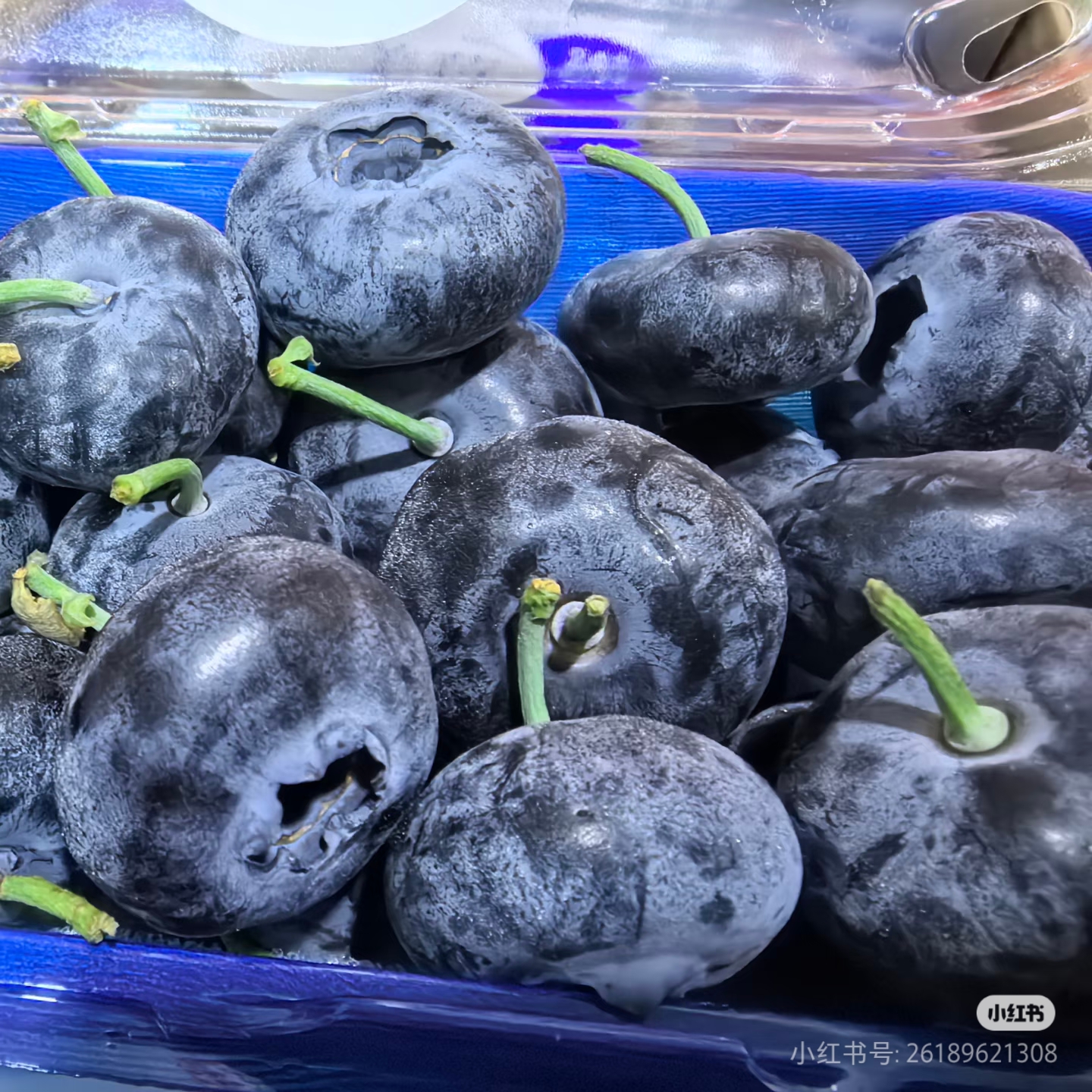 【闪送到家】云南巨无霸蓝莓 59.9元2盒（400g净重）巨无霸特大果 特别脆 8甜2酸 云南蓝莓 云南省