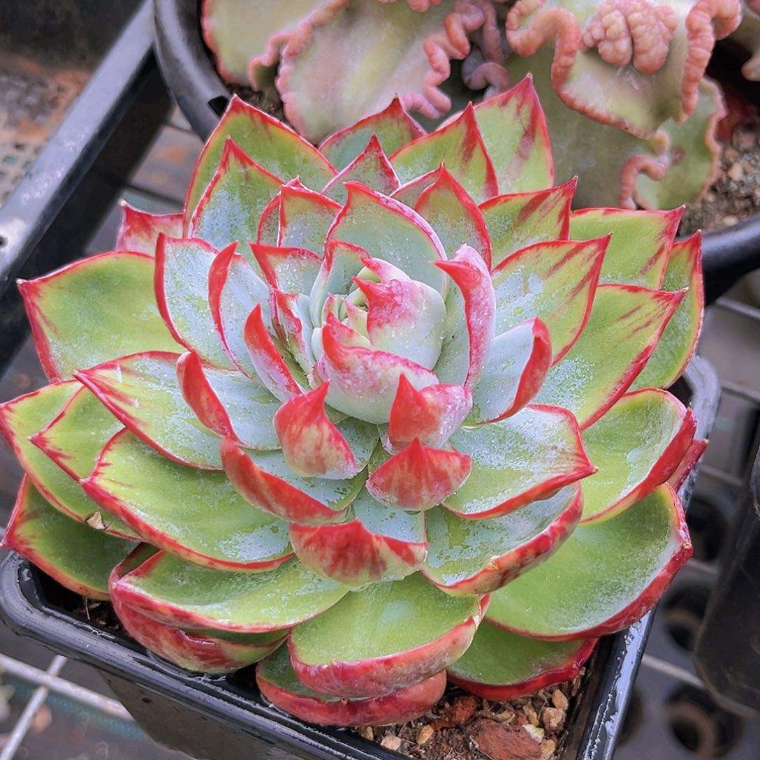 777777777777777777777777