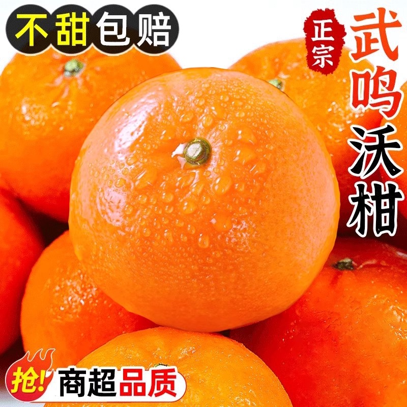 【新疆京东顺丰】正宗广西武鸣花纹沃柑时令新鲜水果应季整箱桔柑橘