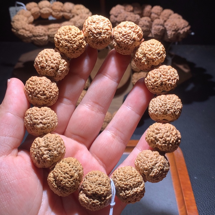 菩提籽类22+菠萝蜜