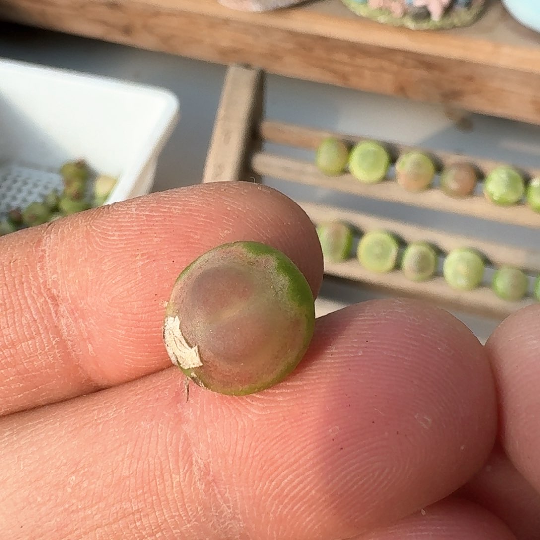 2-18-001，，30元一一一一