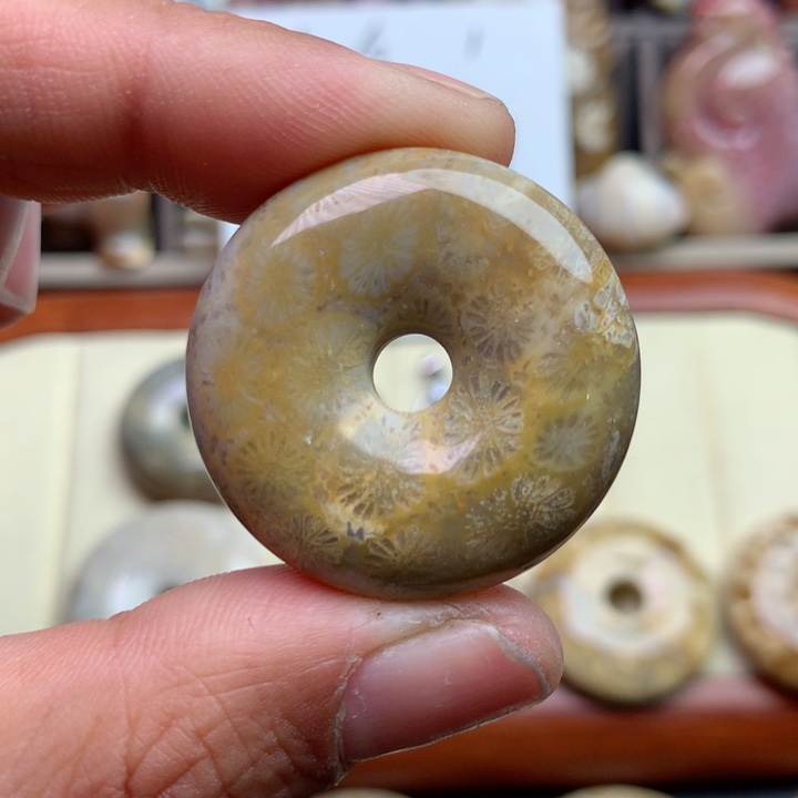 硅化珊瑚（珊瑚玉）颈饰未镶嵌