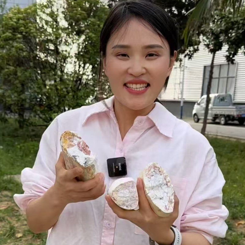 龙骨 生龙骨 锻龙骨初级农产品可搭配牡蛎