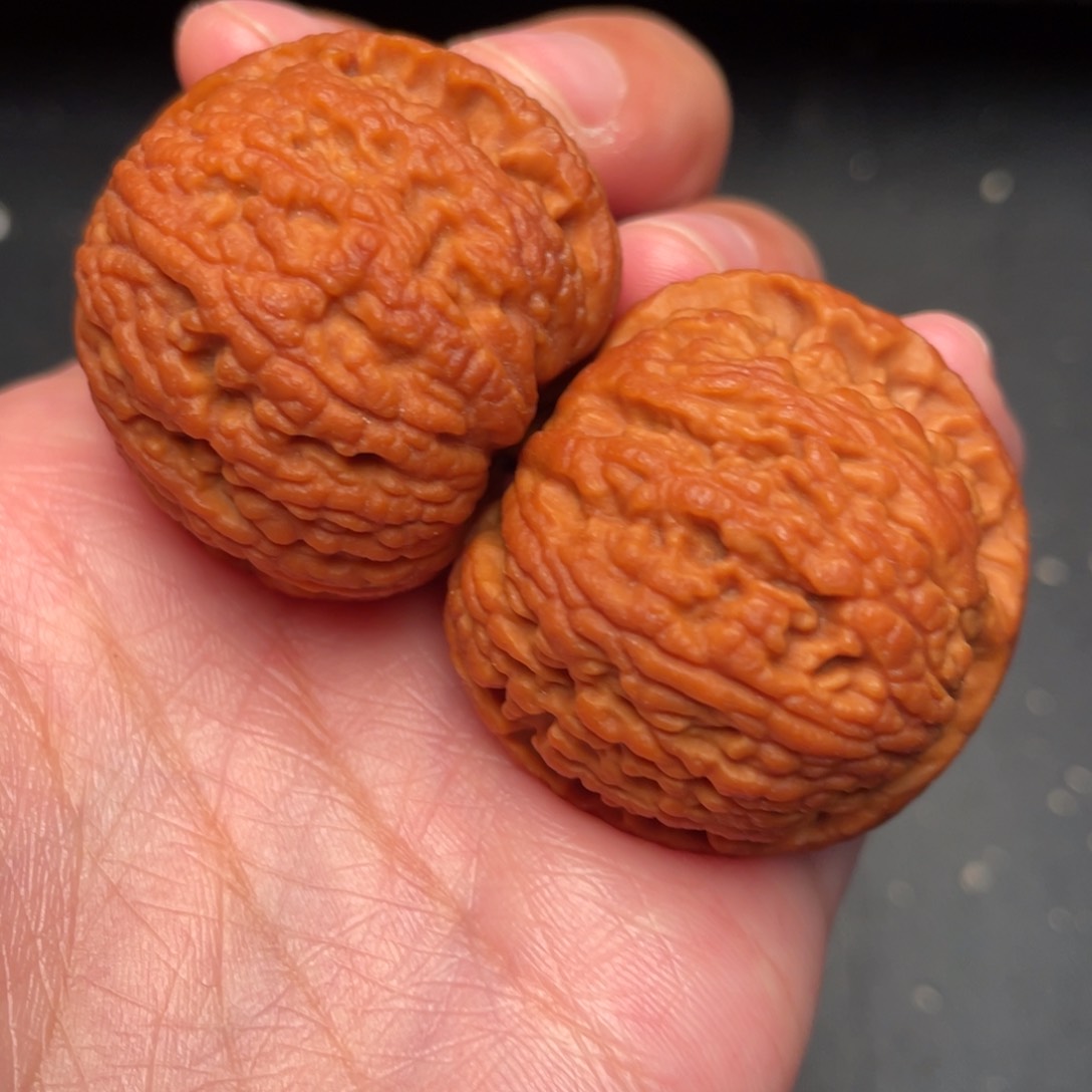 秦岭野生文玩核桃