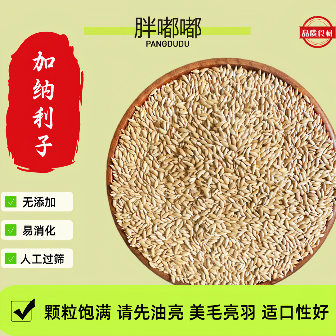 进口加纳利子鹦鹉粮食饲料鹦鹉奖励零食