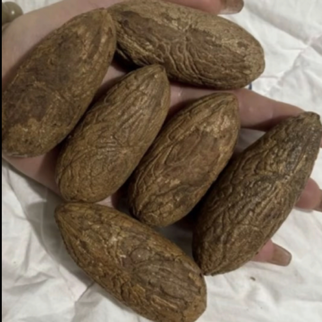 原皮千眼原皮原籽赠送砂纸