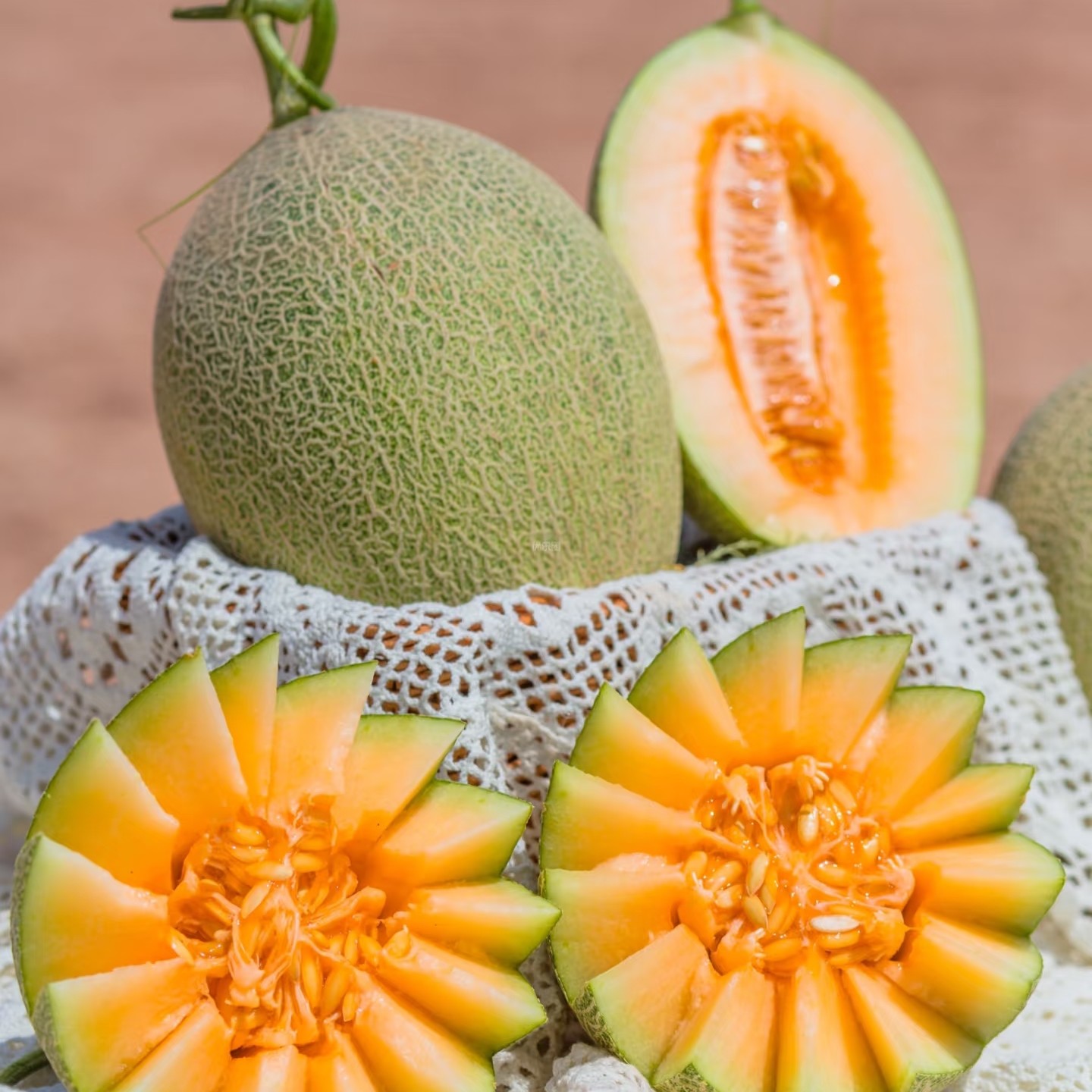 三亩田哈密瓜1枚