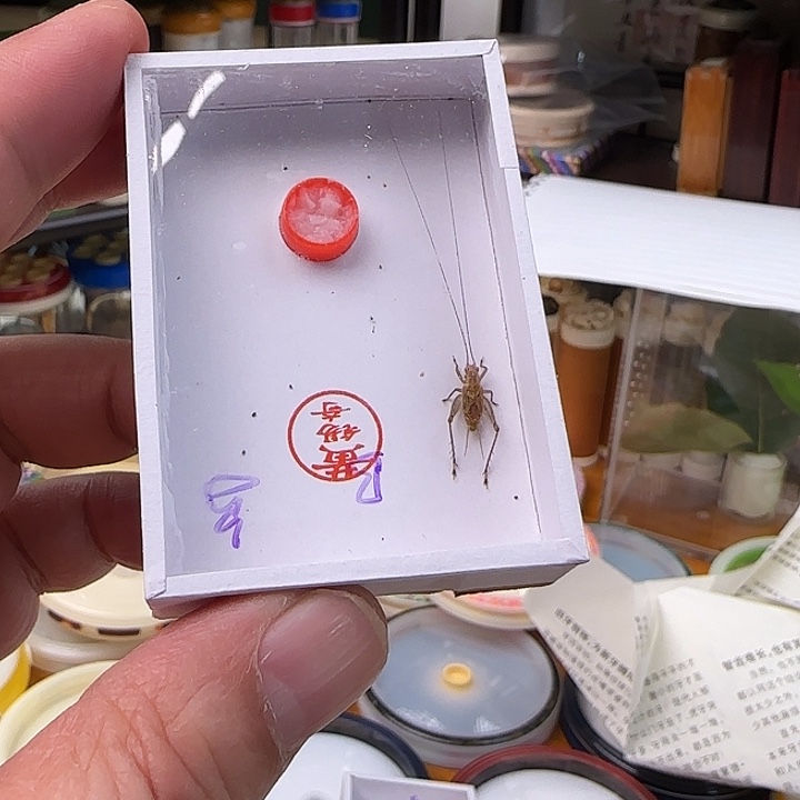 黄锡奇特B you are doing