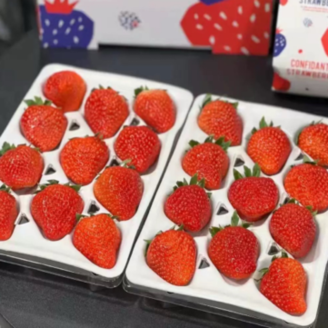 丹东九九草莓400g/盒