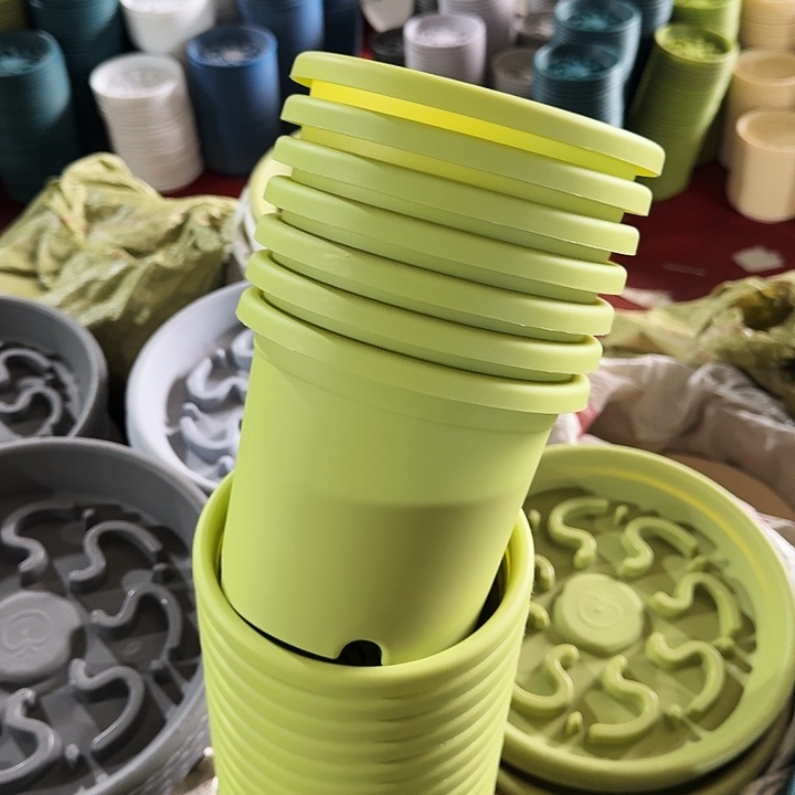 微瑕2#果绿12个无托