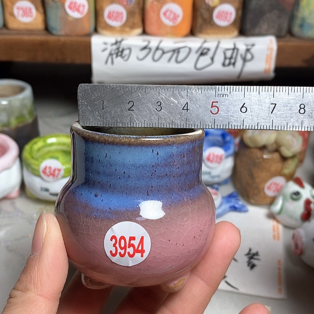 红陶拍5送一个小