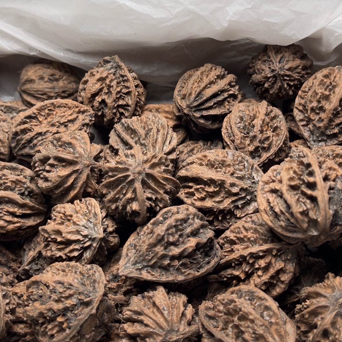 手串文玩核桃帅***辣核桃63