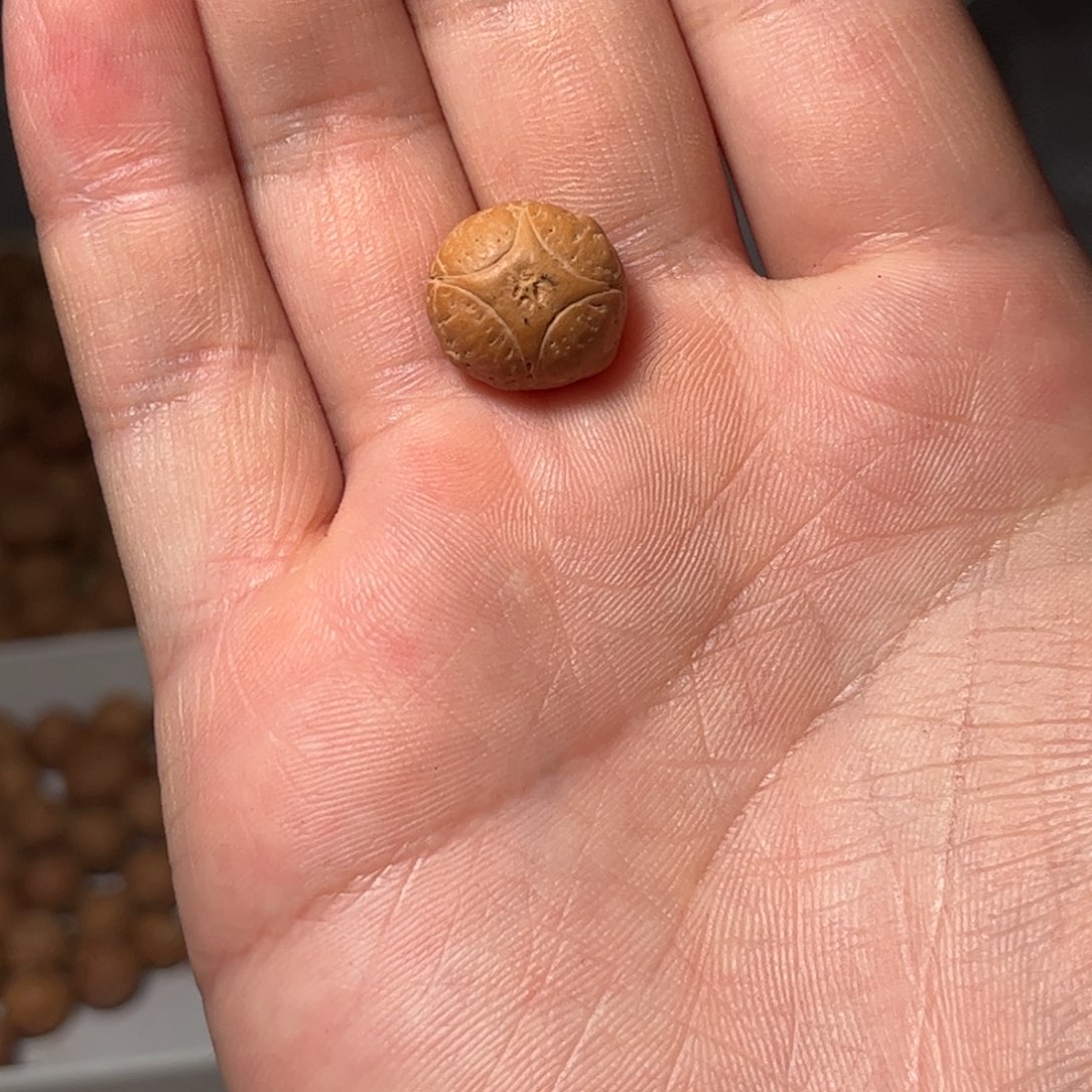 桃核吊坠15mm麒麟眼，开孔不退，偏远不包