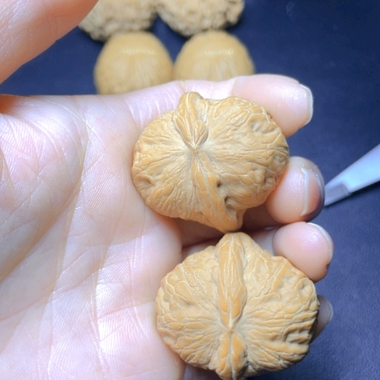 大叶紫檀（黑酸枝木类）手****6
