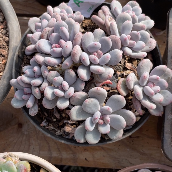 哈哈哈哈哈哈哈哈962