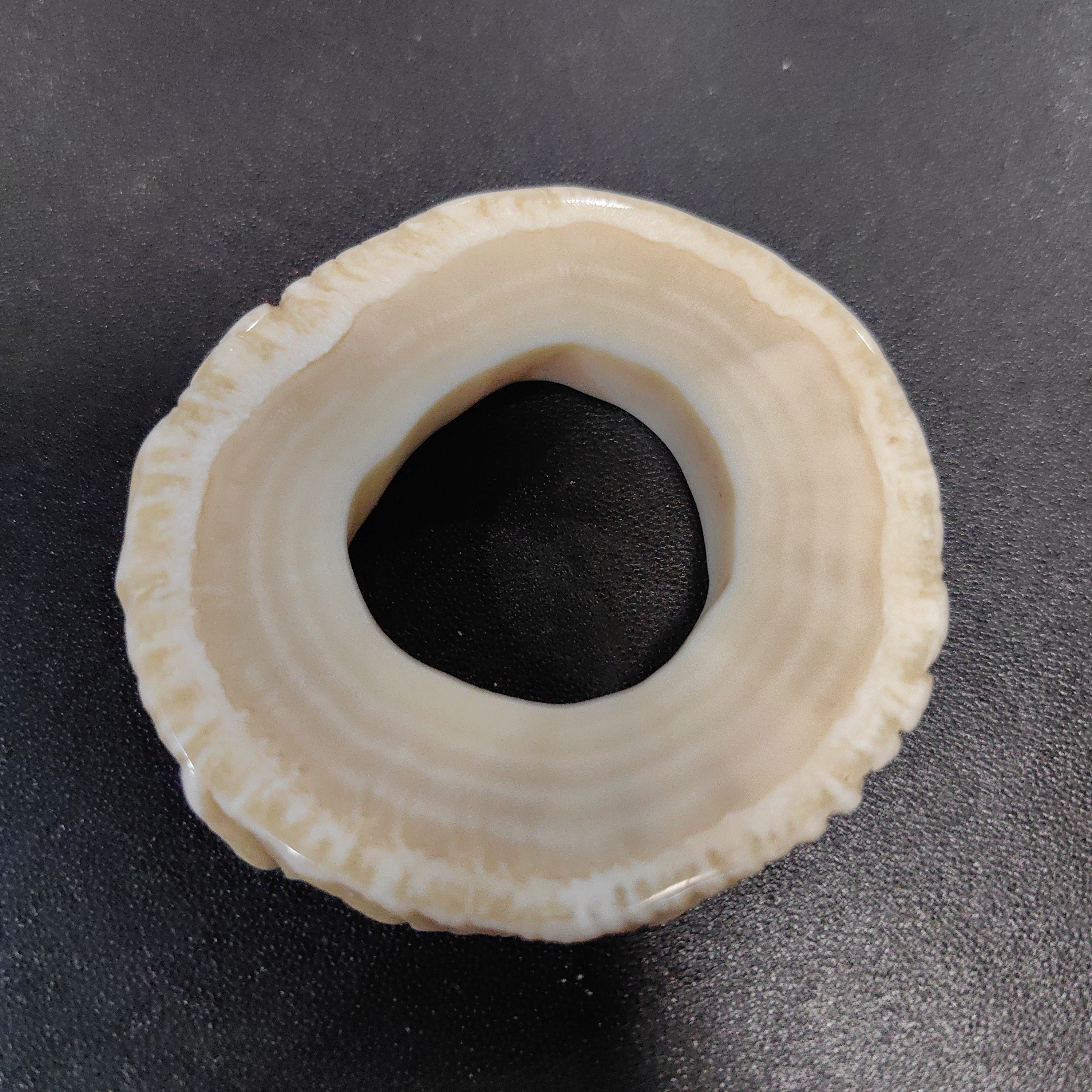 猛犸猛犸独把件TT1558