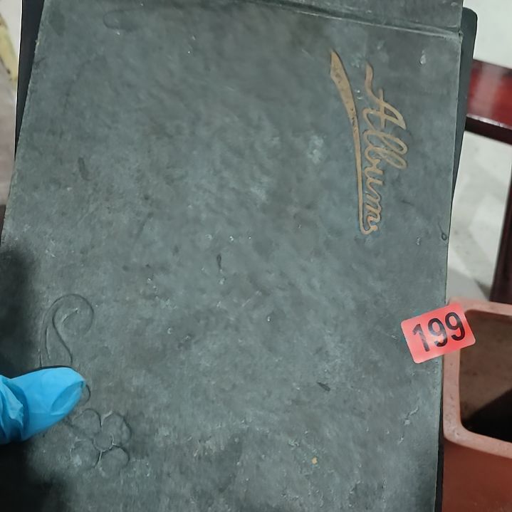 维***维杂色豆（科檀/科特迪瓦檀木）