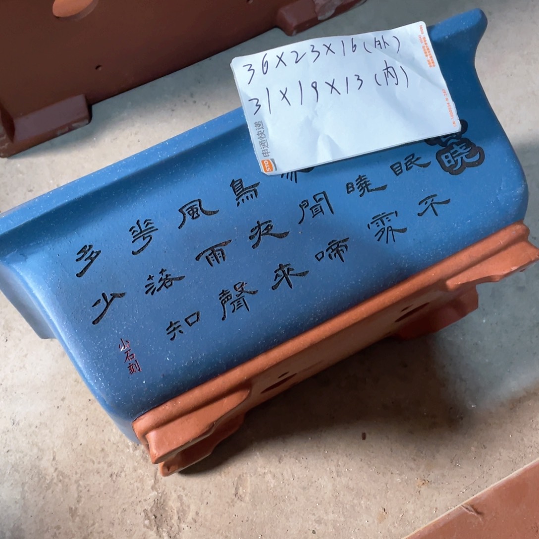 紫砂花盆紫砂花茶茶花水花