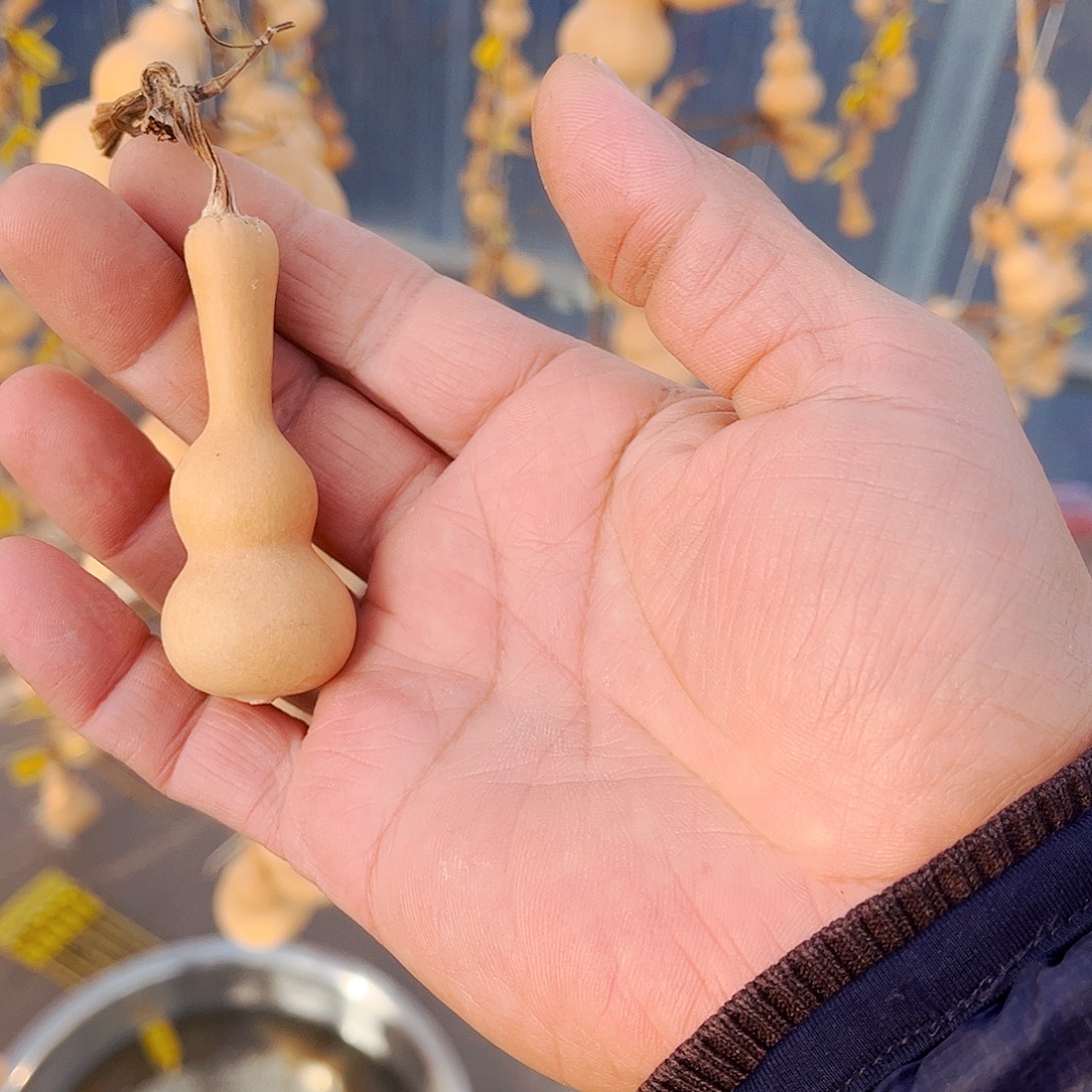 用***3大叶紫檀（黑酸枝木类）