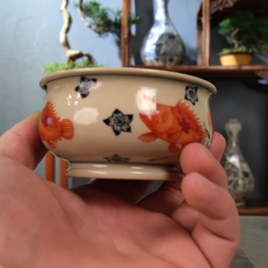 二号釉釉上矾红斗彩