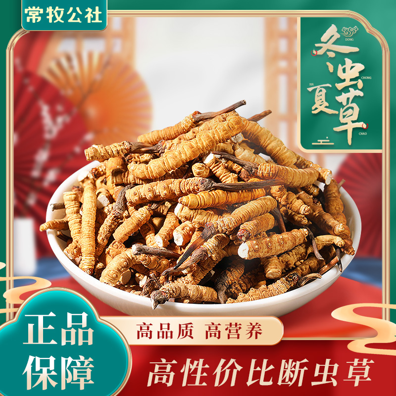 【扎西家】2025冬虫夏草 精品大断草 滋补养生头茬足干