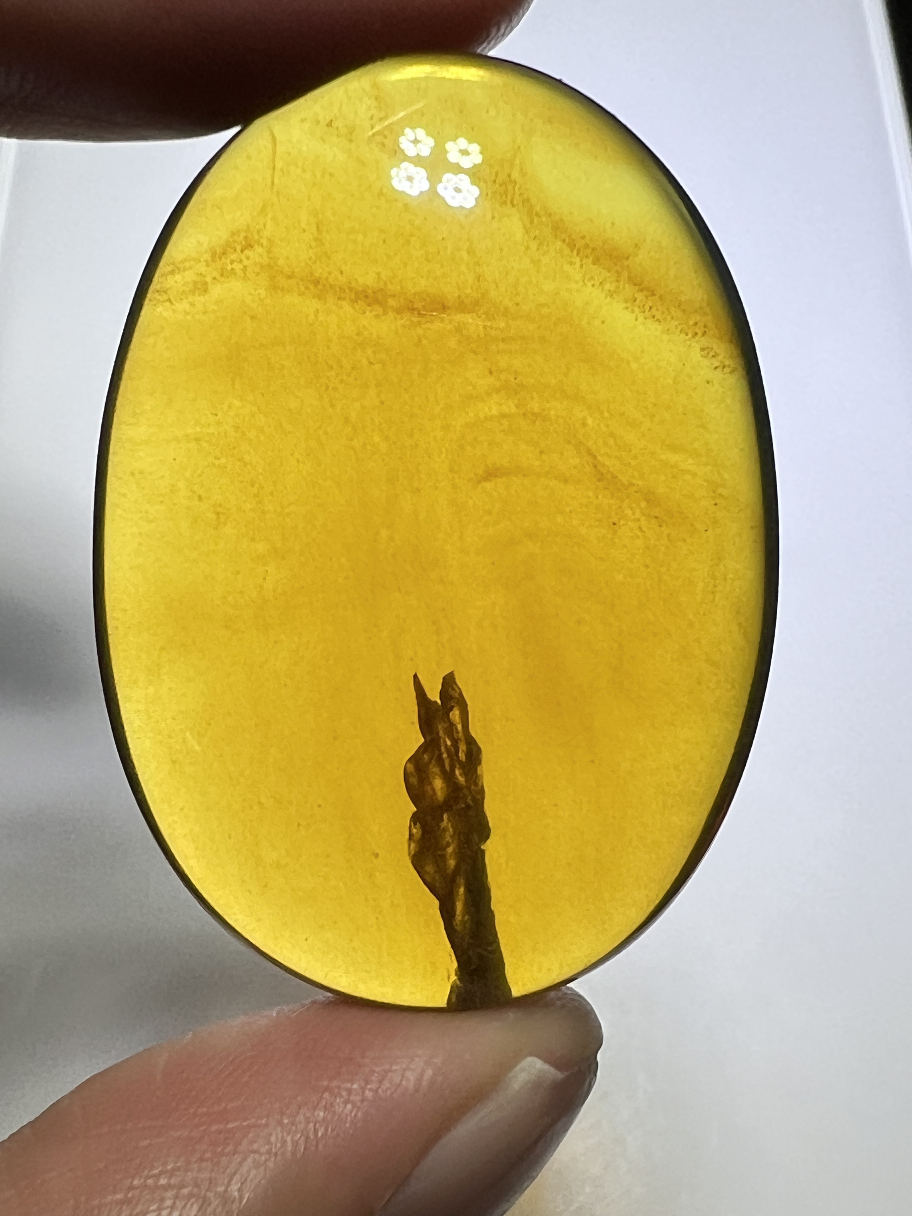 天然缅甸琥珀植物珀