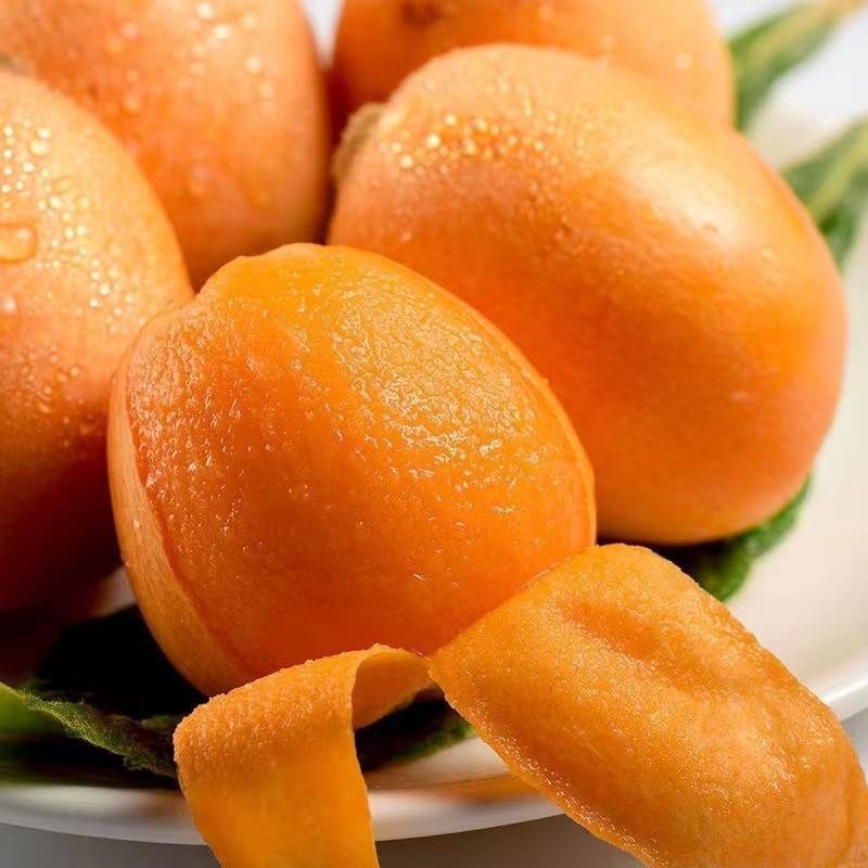 【顺丰包邮】新鲜大五星枇杷现摘现发1/3斤