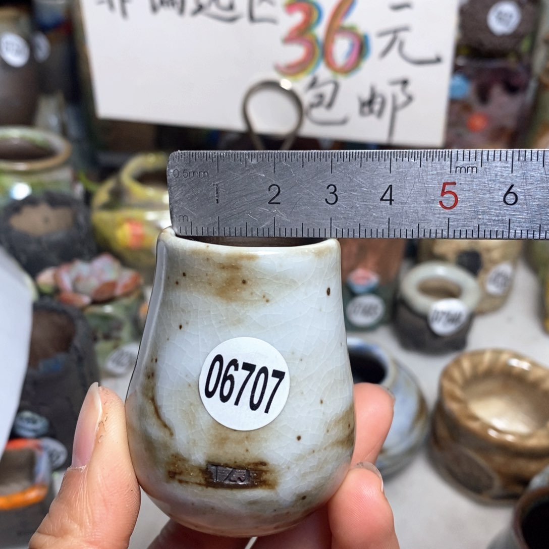 花盆拍5送一个小礼物