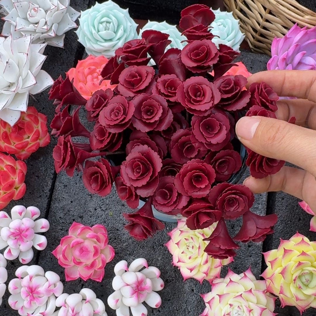 树脂1号3支摸摸你