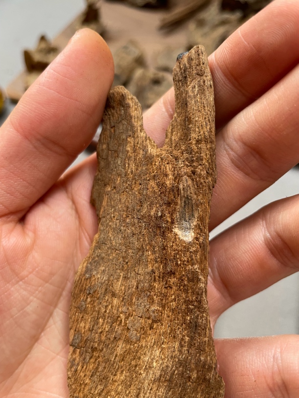 沉香越南福森红土牌子