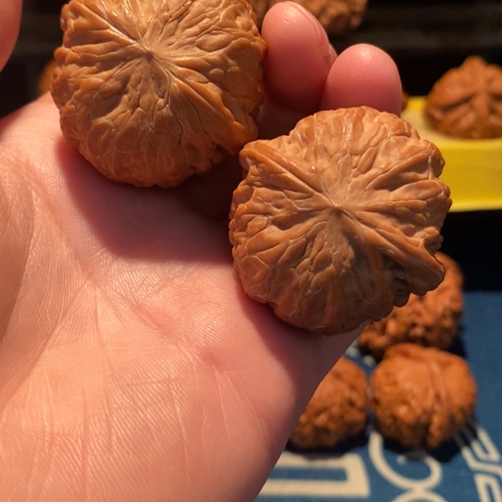 手串/手链核桃?铁锤妹妹