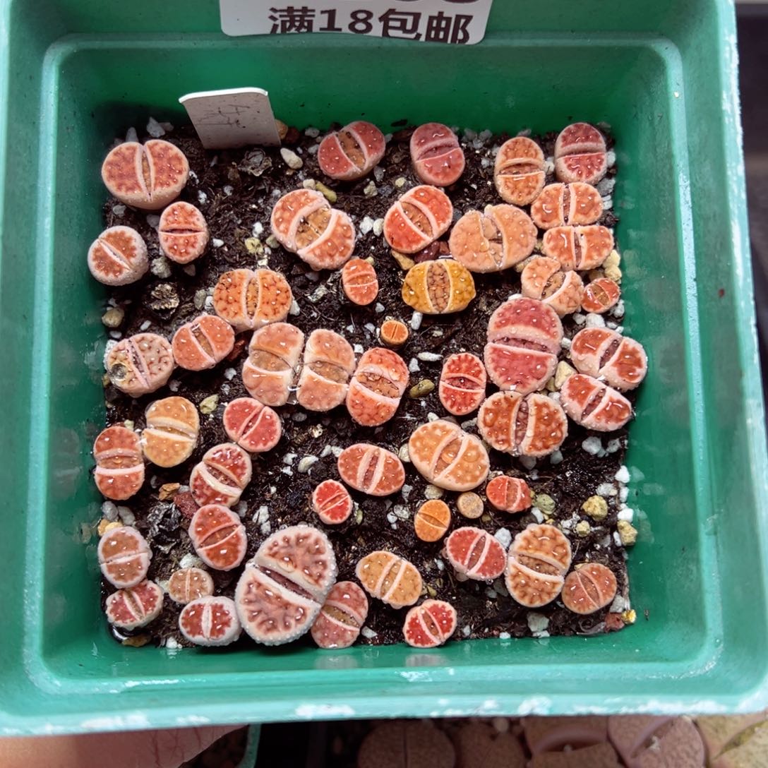 【闪购商品】1168……