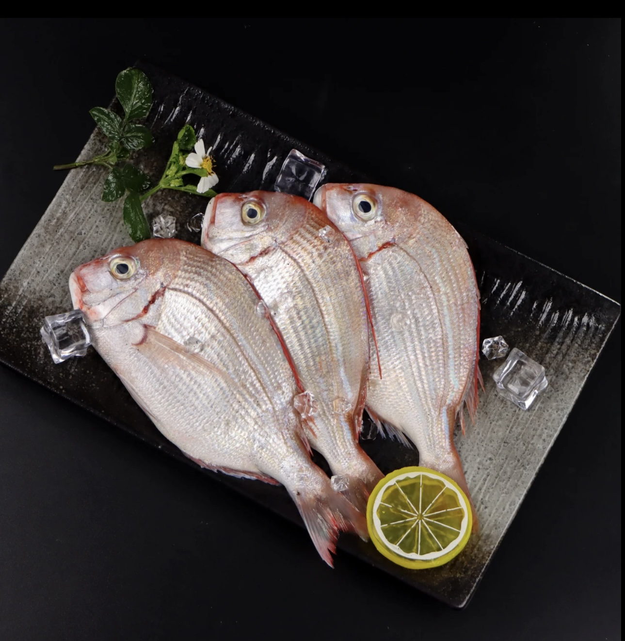 【红立/沙涩】惠来神泉港野生红立鱼【5包】速冻锁鲜原产地顺丰包邮